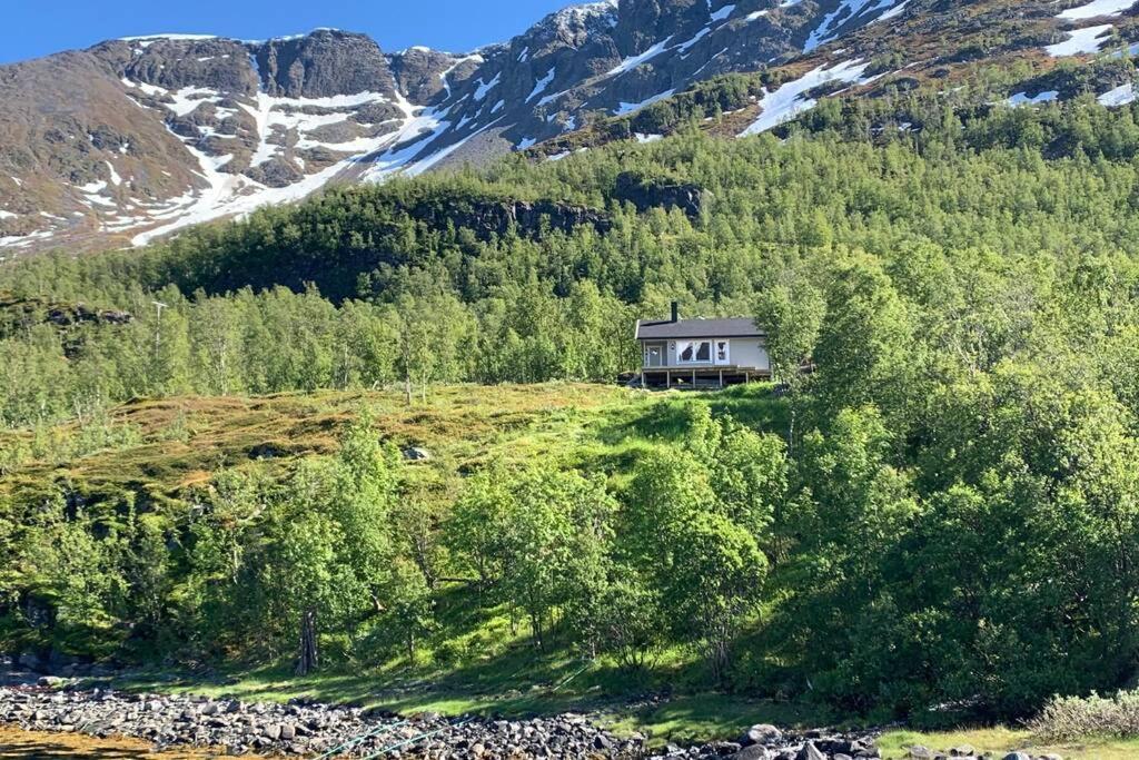 Cabin In Jokelfjord Villa Kültér fotó